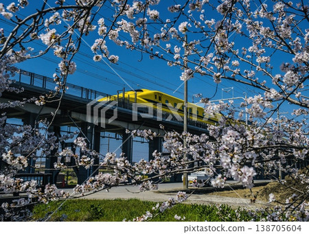 Doctor Yellow in Cherry Blossom Frame Motion two Doctor Yellow in Cherry Blossom Frame Motion two 138705604