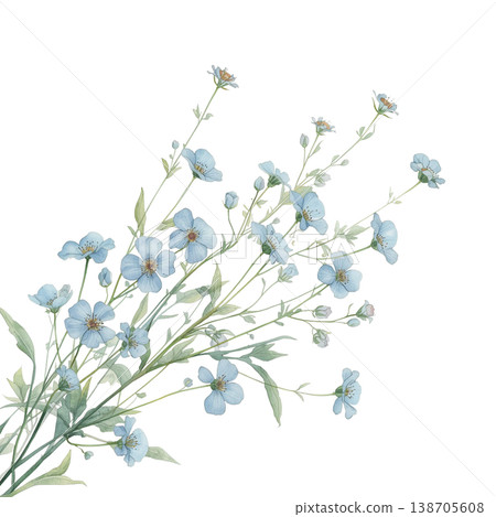 藍色粉蝶花花束風格的植物插圖，水彩風格花卉素材 138705608