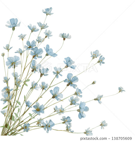 藍色粉蝶花花束風格的植物插圖，水彩風格花卉素材 138705609
