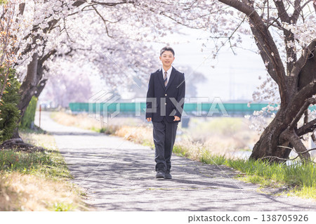 A middle school boy walking alone along a row of cherry trees. A middle school boy walking alone along a row of cherry trees. 138705926
