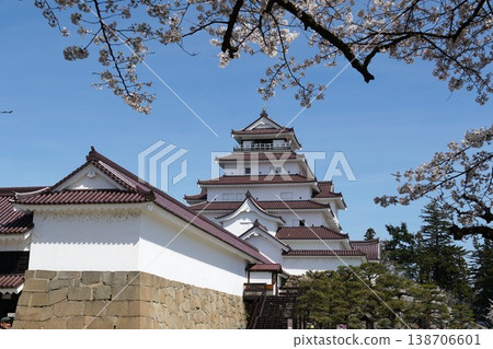 Tsuruga Castle Park, where cherry blossoms are in full bloom; a scene from the Tsuruga Castle Cherry Blossom Festival. Tsuruga Castle Park, where cherry blossoms are in full bloom; a scene from the Tsuruga Castle Cherry Blossom Festival. 138706601
