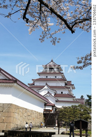 敦賀城公園，櫻花盛開；敦賀城櫻花節的景象。 138706602
