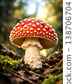 Macro shot of Amanita muscaria mushroom with vivid red cap and white spots, growing on mossy forest floor in warm sunlight. 138706704