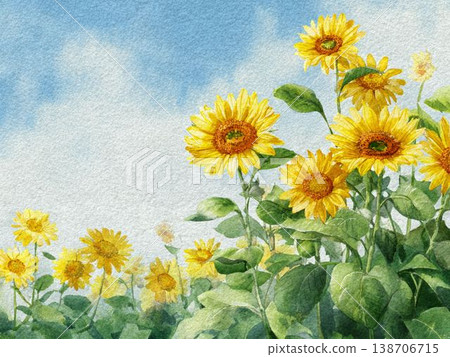 一幅水彩風格的插畫,描繪了藍天下的向日葵田。 一幅水彩風格的插畫,描繪了藍天下的向日葵田。 138706715