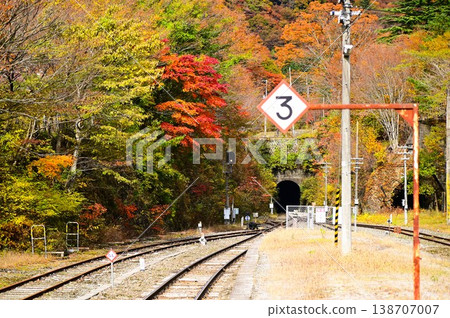 JR釜石線(銀河夢想線釜石線)陸中大橋站的秋景 JR釜石線(銀河夢想線釜石線)陸中大橋站的秋景 138707007
