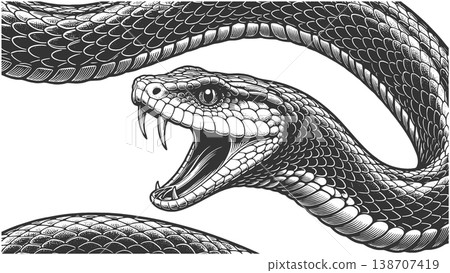 Stylized Coiled Snake vector illustration 138707419