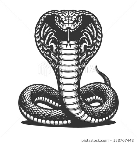 Cobra Snake With Hood Raised raster illustration Cobra Snake With Hood Raised raster illustration 138707448