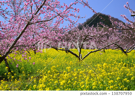 山梨桃花天堂：一個遍佈美麗桃花的世外桃源 138707950