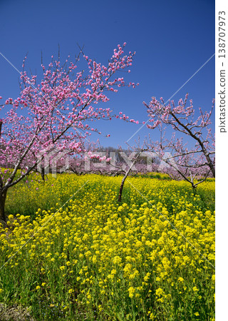 山梨桃花天堂：一個遍佈美麗桃花的世外桃源 138707973