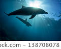 Two wild bottlenose dolphins swimming together 138708078