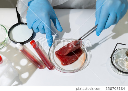 Gloved hands using tongs to examine lab-grown meat in petri dish. Biotechnology research on artificial protein cultivation. Sustainable food innovation in scientific laboratory setting. 138708184