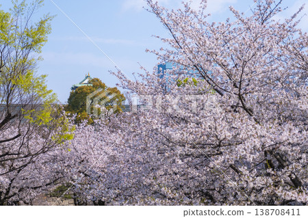 大阪城，大阪城公園，櫻花盛開。 138708411