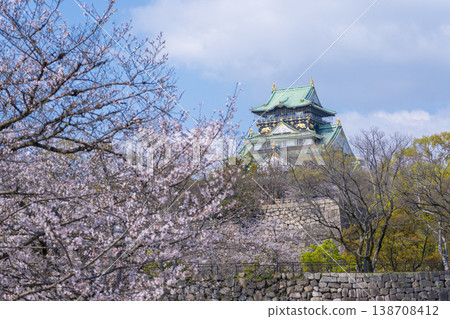 大阪城,大阪城公園,櫻花盛開。 大阪城,大阪城公園,櫻花盛開。 138708412