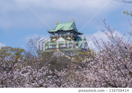 Osaka Castle, Osaka Castle Park, cherry blossoms in full bloom Osaka Castle, Osaka Castle Park, cherry blossoms in full bloom 138708414