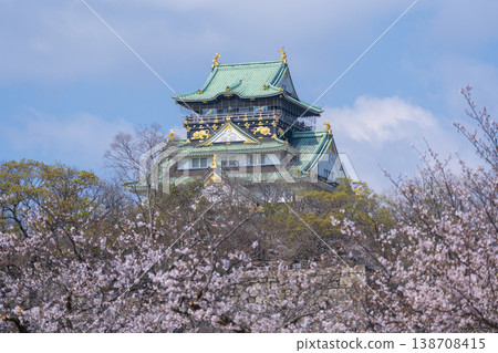 大阪城,大阪城公園,櫻花盛開。 大阪城,大阪城公園,櫻花盛開。 138708415