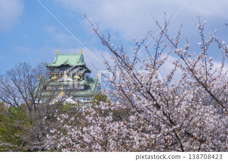 大阪城，大阪城公園，櫻花盛開。 138708423