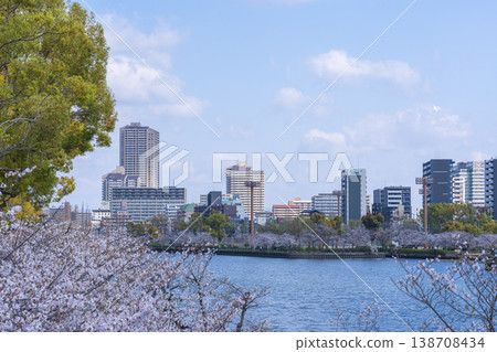 A row of cherry blossom trees along the river [Osaka Kema Sakuranomiya Park] 138708434
