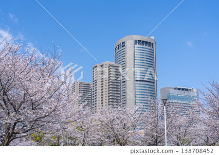 大阪毛馬櫻之宮公園櫻花和 OAP 塔 138708452