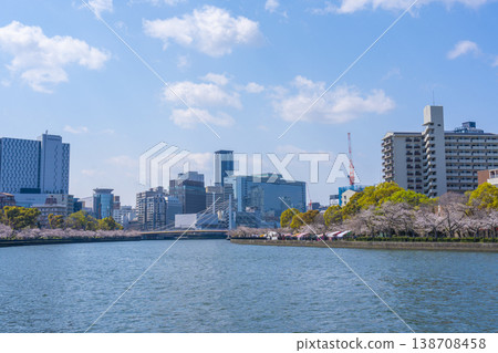A row of cherry blossom trees along the Okawa towards Tenmanbashi [Osaka Kema Sakuranomiya Park] 138708458