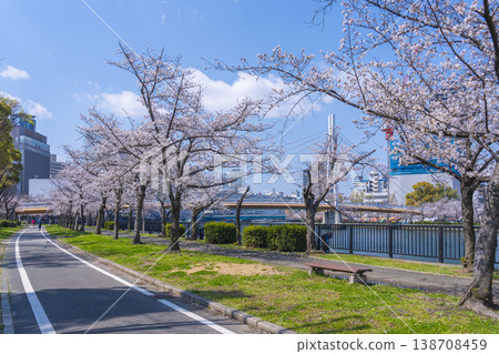 櫻宮公園，川崎大橋，櫻花盛開 [大阪] 138708459