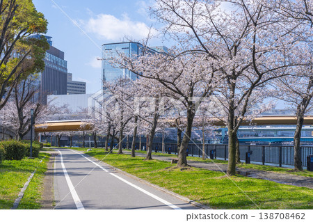 櫻宮公園，川崎大橋，櫻花盛開 [大阪] 138708462