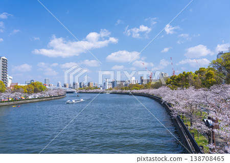 沿河的一排櫻花樹【大阪毛間櫻宮公園】 沿河的一排櫻花樹【大阪毛間櫻宮公園】 138708465