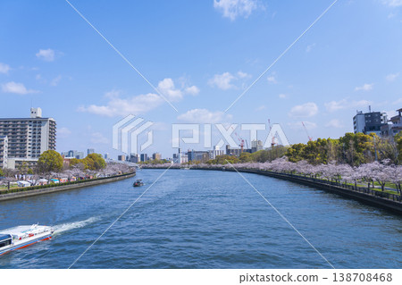A row of cherry blossom trees along the river [Osaka Kema Sakuranomiya Park] 138708468