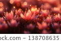 Beautiful pink flowers glisten with dew in a vibrant garden at sunrise 138708635