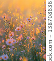 Morning sunlight glistens on wildflowers in a vibrant blooming field 138708636