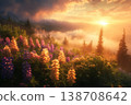 Colorful lupines bloom in a vibrant sunset landscape during early spring 138708642
