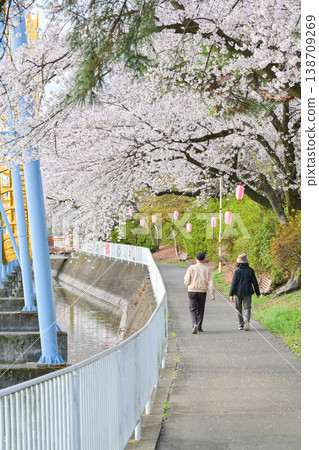 Hanazouji公園盛開 138709269