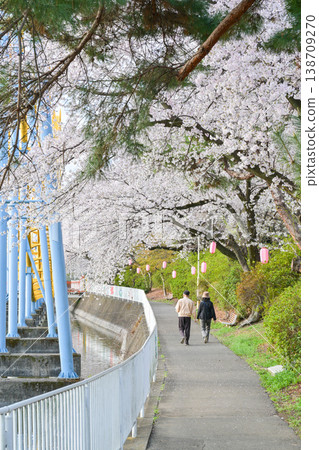 Hanazouji公園盛開 138709270