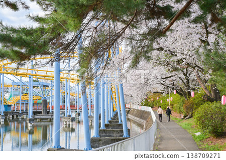 Hanazouji公園盛開 Hanazouji公園盛開 138709271