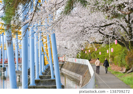 Hanazouji公園盛開 138709272