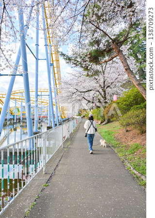Hanazouji公園盛開 138709273