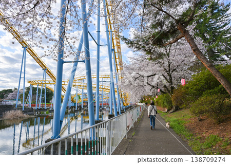 Hanazouji公園盛開 Hanazouji公園盛開 138709274