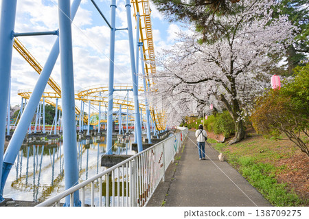 Hanazouji公園盛開 138709275