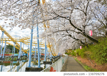 Hanazouji公園盛開 Hanazouji公園盛開 138709276
