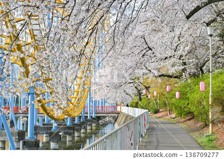 Hanazouji公園盛開 138709277