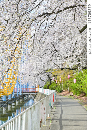 Hanazouji公園盛開 138709279