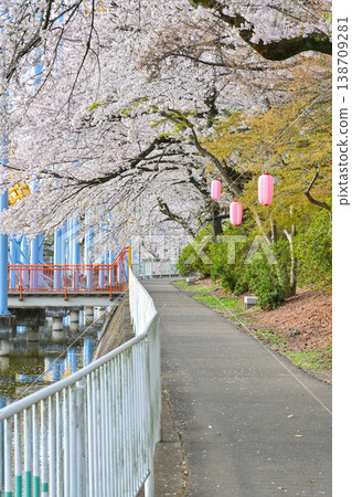 Hanazouji公園盛開 Hanazouji公園盛開 138709281