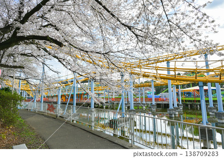 Hanazouji公園盛開 Hanazouji公園盛開 138709283