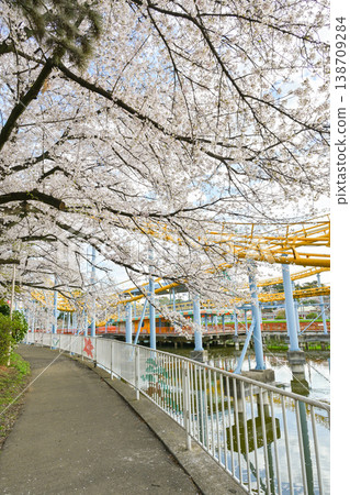 Hanazouji公園盛開 138709284