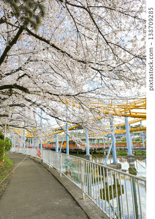 Hanazouji公園盛開 Hanazouji公園盛開 138709285