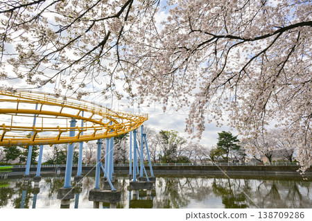 Hanazouji公園盛開 Hanazouji公園盛開 138709286
