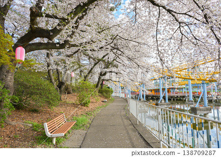 Hanazouji公園盛開 138709287