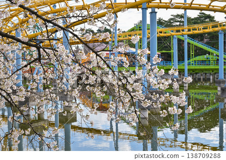 Hanazouji公園盛開 Hanazouji公園盛開 138709288