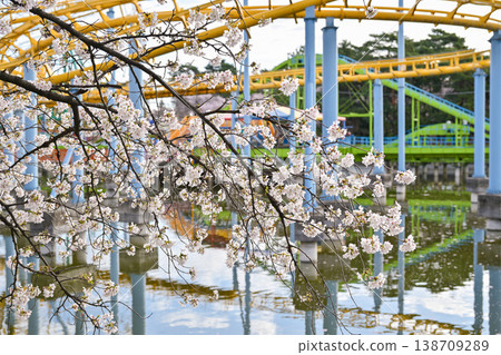 Hanazouji公園盛開 138709289