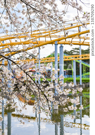 Hanazouji公園盛開 Hanazouji公園盛開 138709290