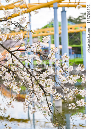 Hanazouji公園盛開 Hanazouji公園盛開 138709291